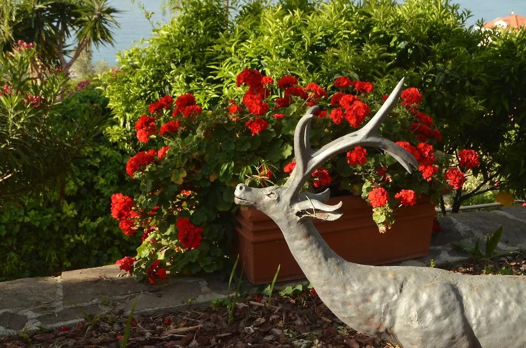 Villa Gabry B&B Ospedaletti