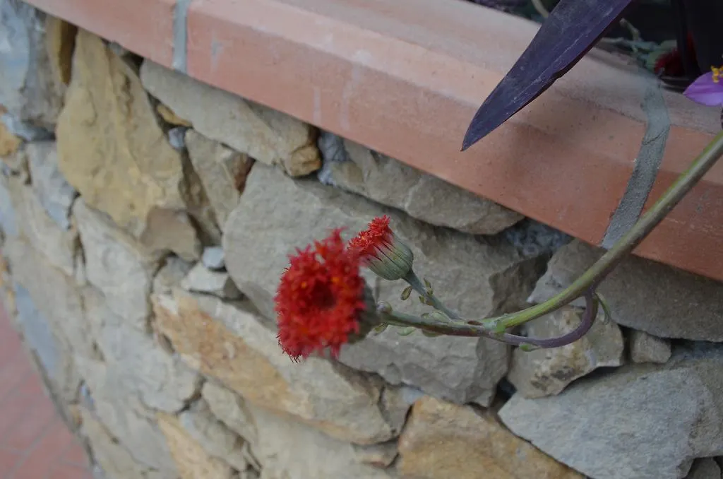 Villa Gabry B&B Ospedaletti