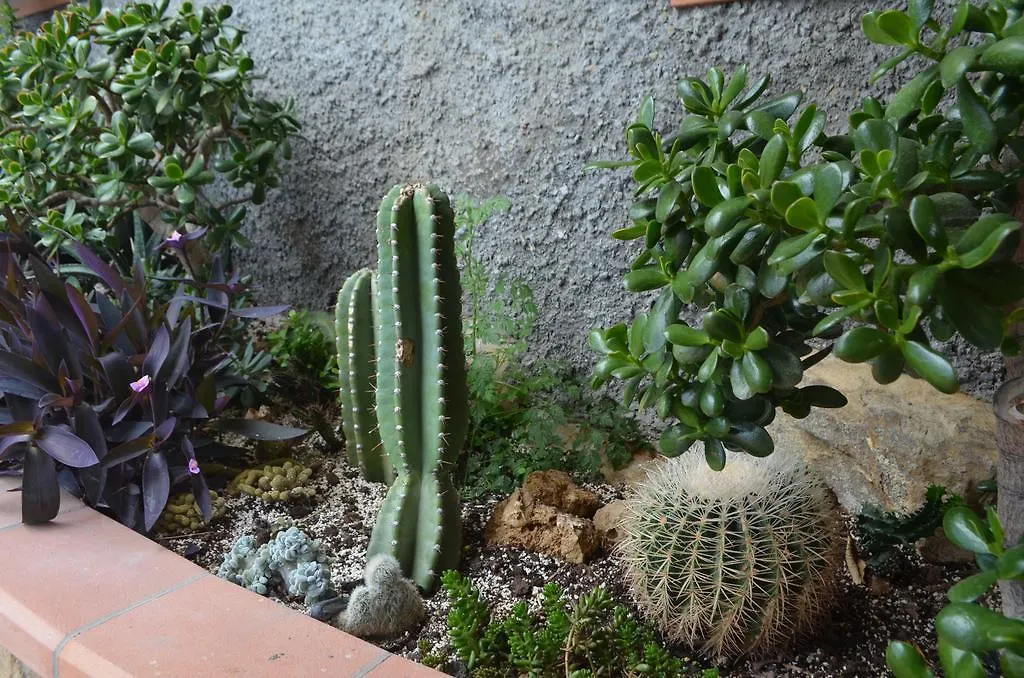 Bed & Breakfast Villa Gabry B&B Ospedaletti Italia