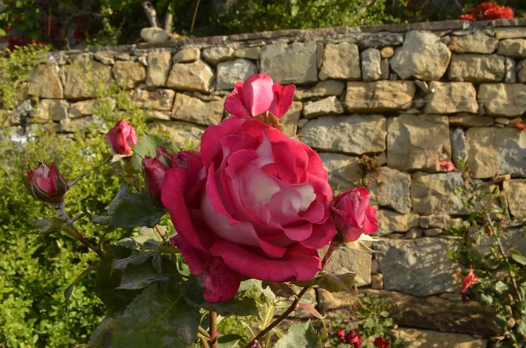 Bed & Breakfast Villa Gabry B&B Ospedaletti