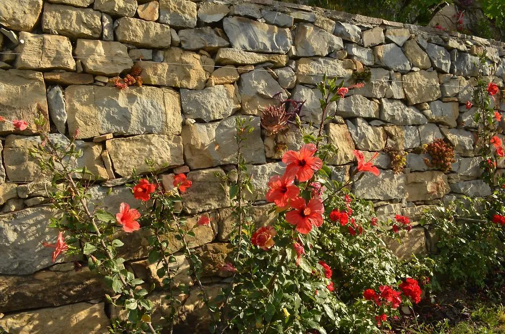 Villa Gabry B&B Ospedaletti Italia